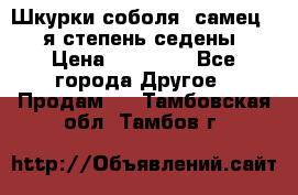 Шкурки соболя (самец) 1-я степень седены › Цена ­ 12 000 - Все города Другое » Продам   . Тамбовская обл.,Тамбов г.